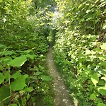 Kamp alanı Land For Your Tent Next To A River Price Includes Lands In Croatia And Bosnia Too Use The Pinpoint Location Not The Address Beblerjev Trg To Get Here Bathroom Is A Bit Different So Check Youtube Video Duskothreecountries Open Showers In A Nearby Camp