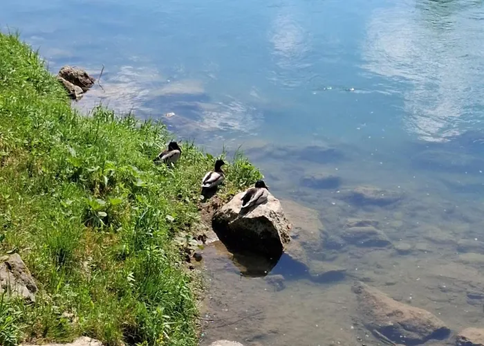 Kamp Land For Your Tent Next To A River Price Includes Lands In Croatia And Bosnia As Well Use The Pinpoint Location And Not My Address Beblerjev Trg To Get To Your Bathroom Is A Bit Different So Check Youtube Video Duskothreecountries