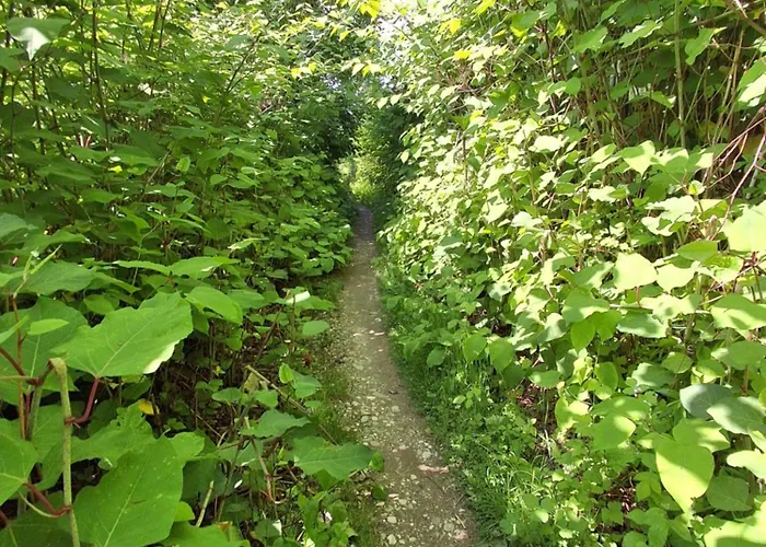 Kamp Land For Your Tent Next To A River Price Includes Lands In Croatia And Bosnia As Well Use The Pinpoint Location And Not My Address Beblerjev Trg To Get To Your Bathroom Is A Bit Different So Check Youtube Video Duskothreecountries