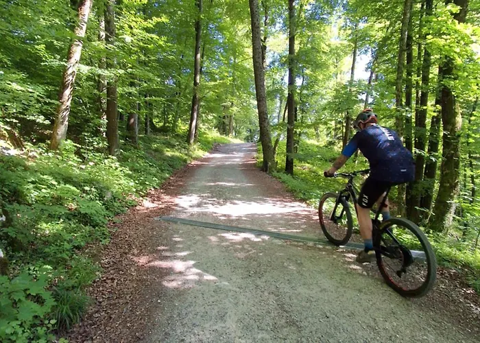 Kamp Land For Your Tent Next To A River Price Includes Lands In Croatia And Bosnia As Well Use The Pinpoint Location And Not My Address Beblerjev Trg To Get To Your Bathroom Is A Bit Different So Check Youtube Video Duskothreecountries Ljubljana