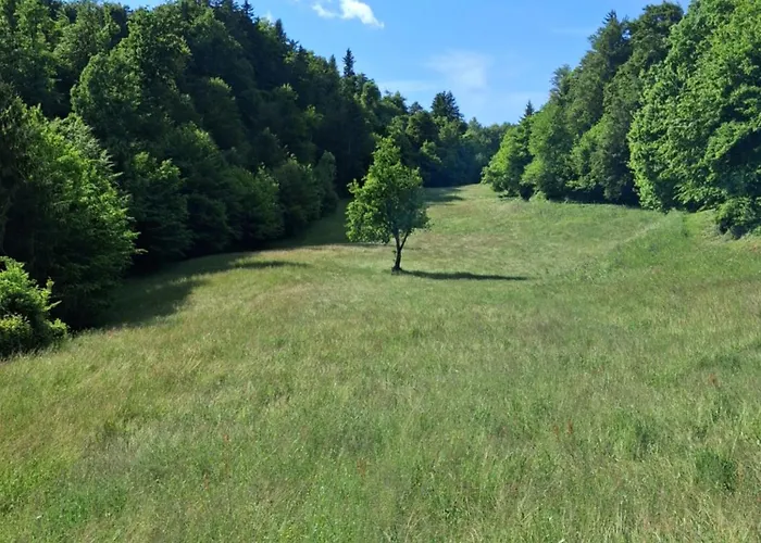 Land For Your Tent Next To A River Price Includes Lands In Croatia And Bosnia As Well Use The Pinpoint Location And Not My Address Beblerjev Trg To Get To Your Bathroom Is A Bit Different So Check Youtube Video Duskothreecountries ليوبليانا